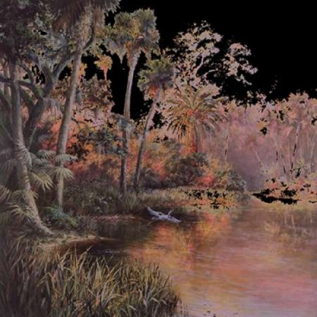 Myakka Sunset Poster Print by Art Fronckowiak - Item # VARPDXF382D